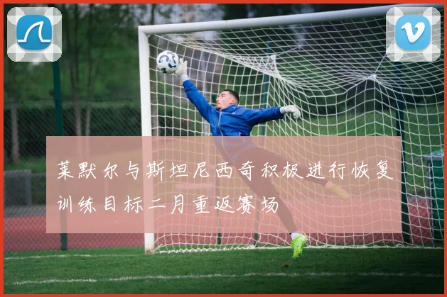 莱默尔与斯坦尼西奇积极进行恢复训练目标二月重返赛场